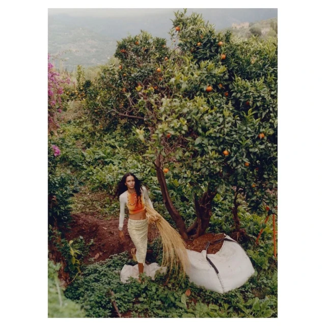A woman stands in a verdant outdoor setting next to an orange tree filled with ripening fruit, with distant green hills in the background.