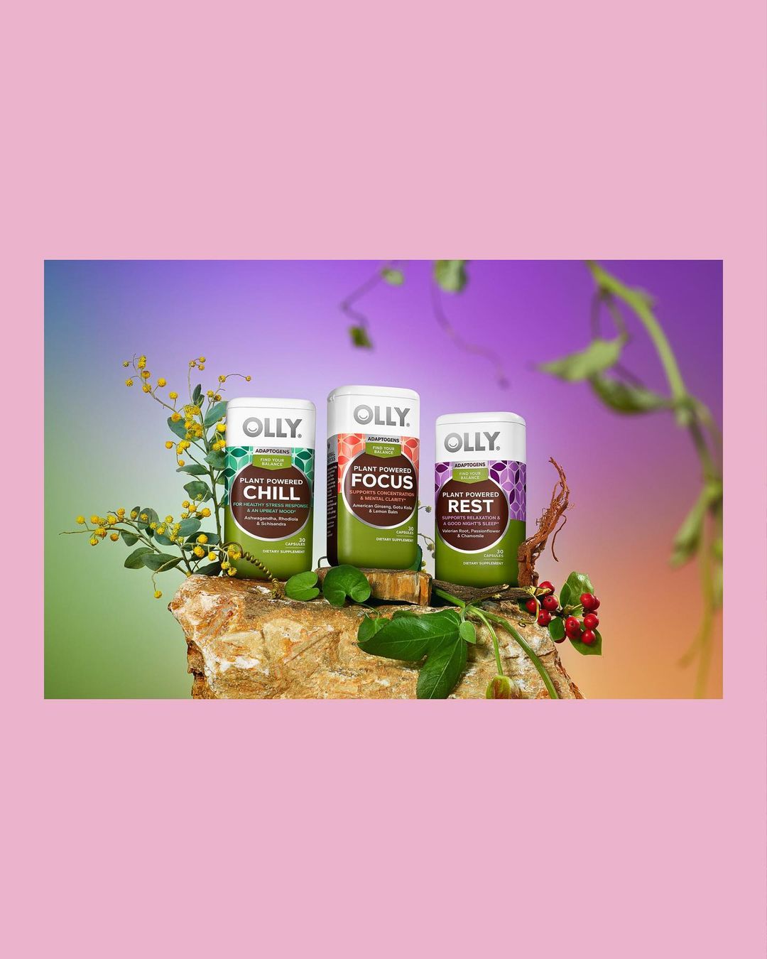 Three bottles of Olly plant-powered supplements: Chill, Focus, and Rest, displayed on a rock, with foliage, against a blended background.