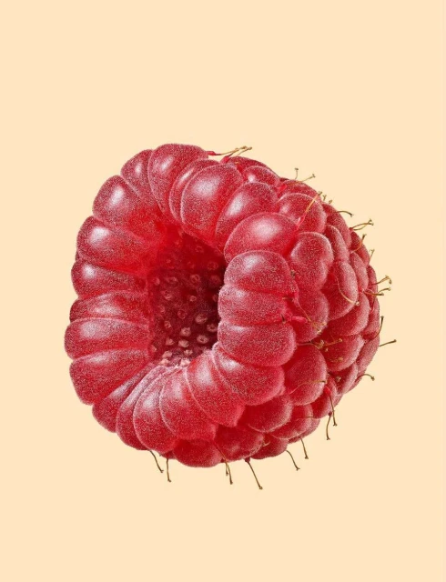 Close-up studio shot of a vibrant red raspberry with its textured surface and delicate hairs, set against a soft cream-colored background.