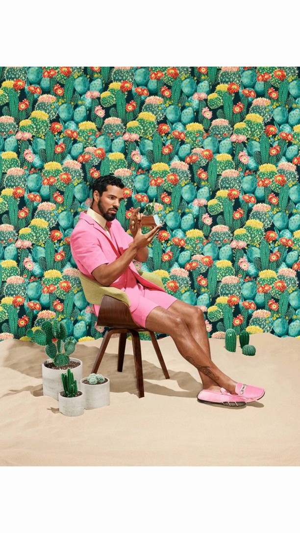A man in a pink suit sits on a chair in front of a cactus wallpaper backdrop holding a brown box with potted cactus plants nearby.