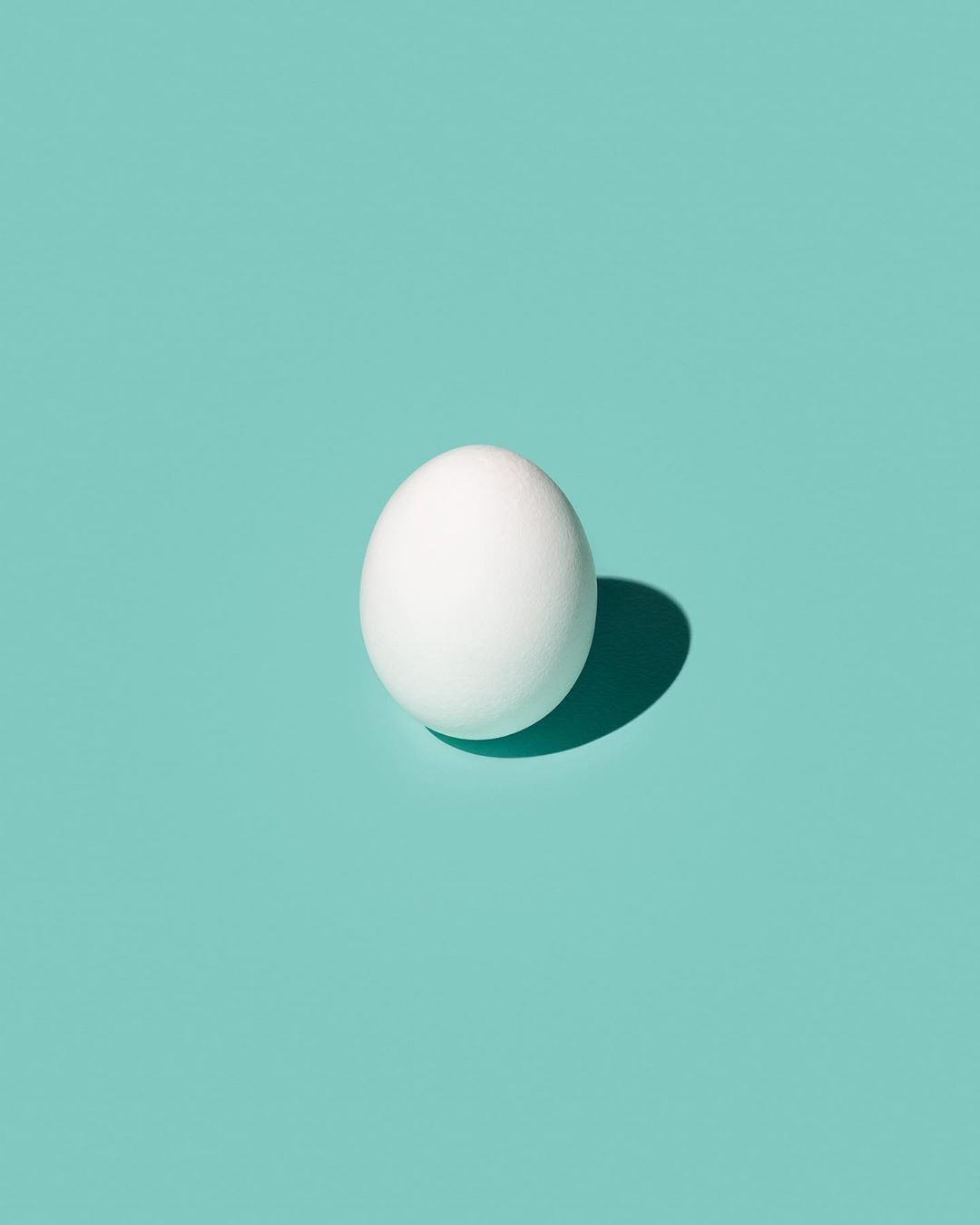 Single white egg with a dark shadow sits centered against a light turquoise background. Minimalist food still life photography.