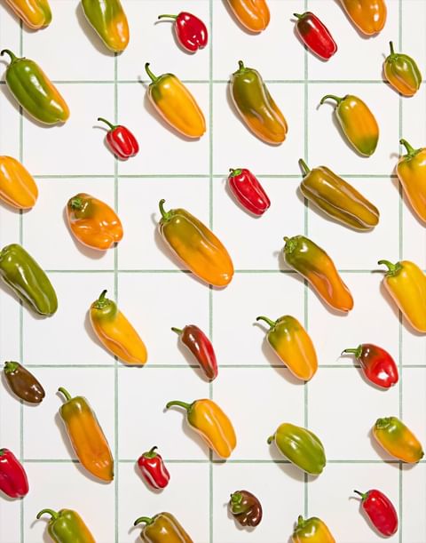 Overhead shot of red, yellow, and green bell peppers arranged in a grid pattern on a white surface. Food photography showcasing colorful vegetables.