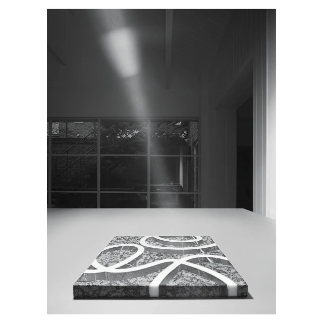 A patterned marble slab with white lines rests on a white table indoors, illuminated by a beam of light coming through a window.