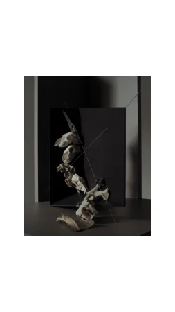 Arrangement of animal skulls stacked on a dark gray surface, partially obscured by a glossy black rectangle and two thin transparent lines.