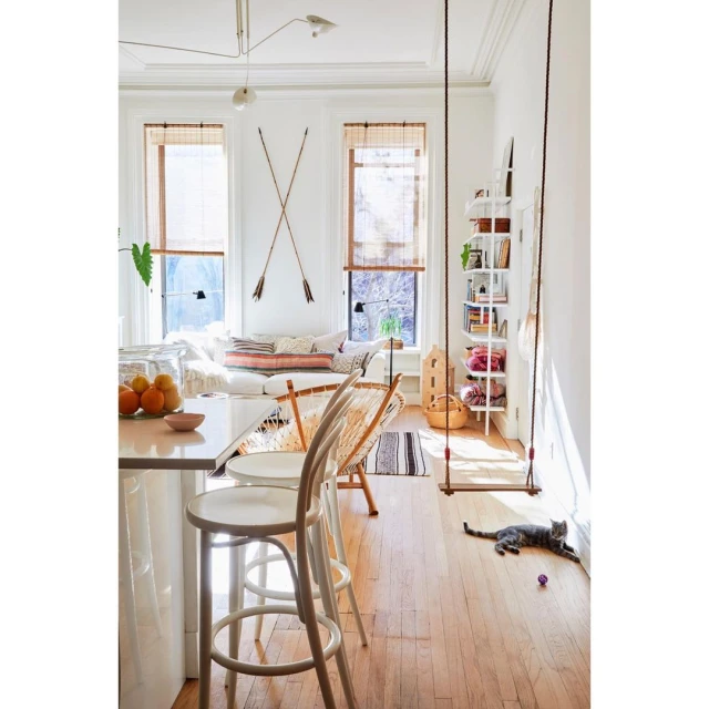Bright and airy interior shot featuring a swing, shelving, stools, a sofa, and a cat enjoying a sunny day indoors.
