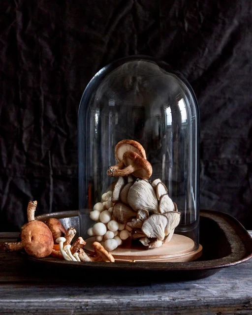 Still life shot of mushrooms under a glass cloche on a dark wooden table with a rustic background creating a moody food photography.