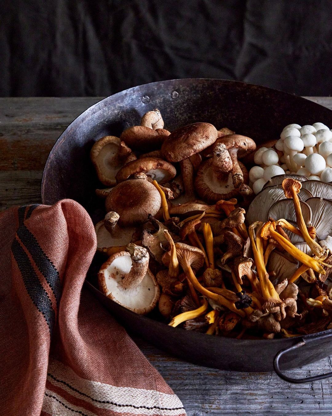 A rustic arrangement showcases a variety of fresh mushrooms, including shiitake and oyster, artfully displayed on a metal tray, and rustic cloth.