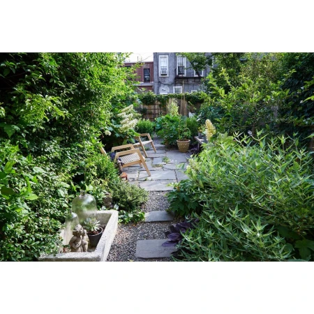Lush backyard garden features stone pathway, wooden chairs, and green foliage, creating a tranquil and inviting outdoor space in daylight.