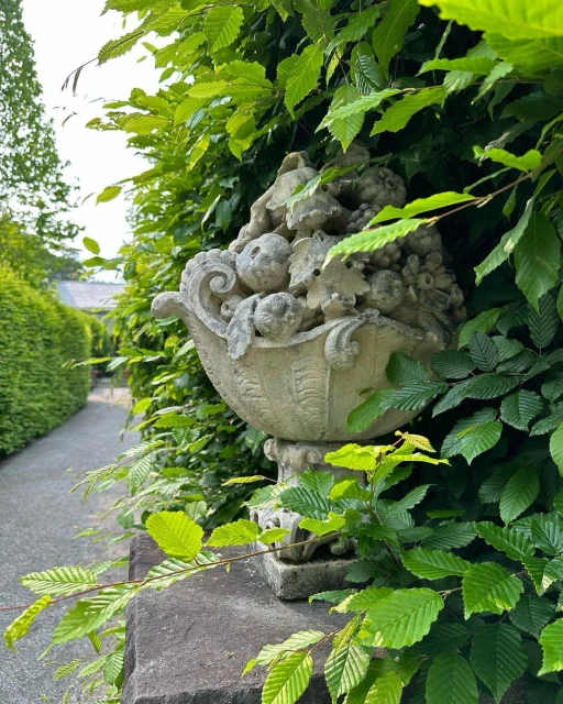 A stone urn filled with sculpted fruit is nestled within a vibrant green hedge, creating a classical garden scene.