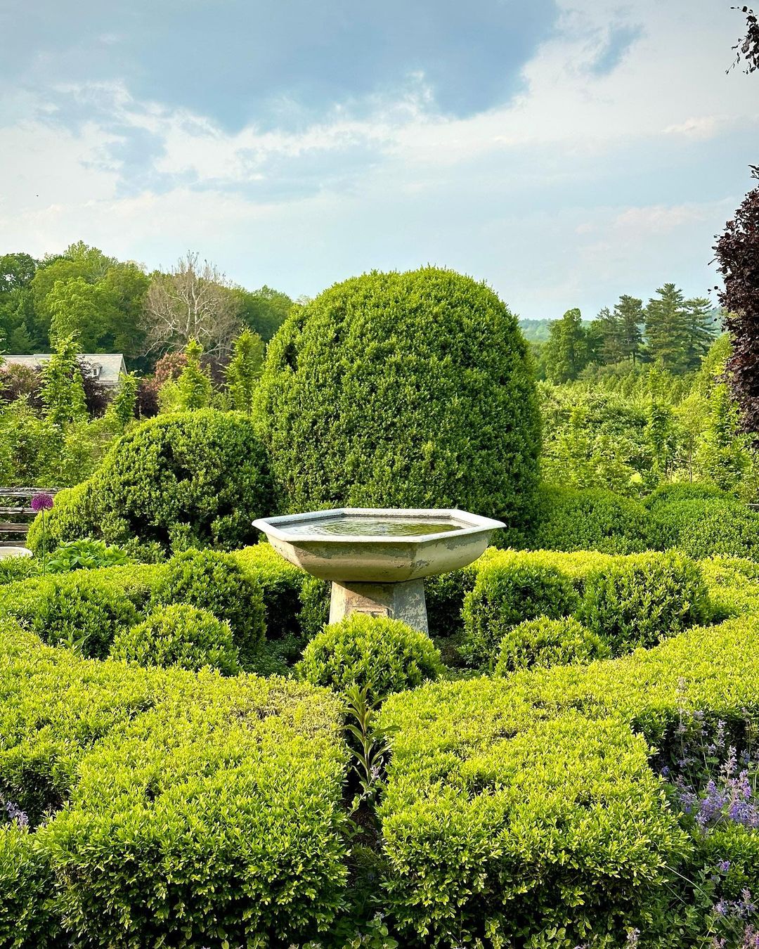 Formal garden with sculpted hedges, a stone bird bath, and lush greenery under a partly cloudy sky, creating a serene outdoor space.