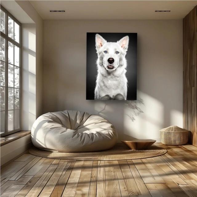 Indoor shot of a white German Shepherd poster on a wall, alongside a large window, beanbag chair, and wood flooring.