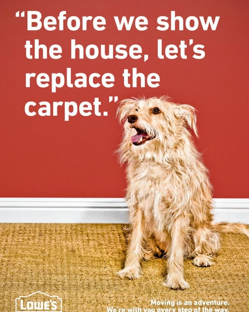 Dog sits on carpet in front of red wall in Lowe's ad. The text says, 'Before we show the house, let's replace the carpet.'