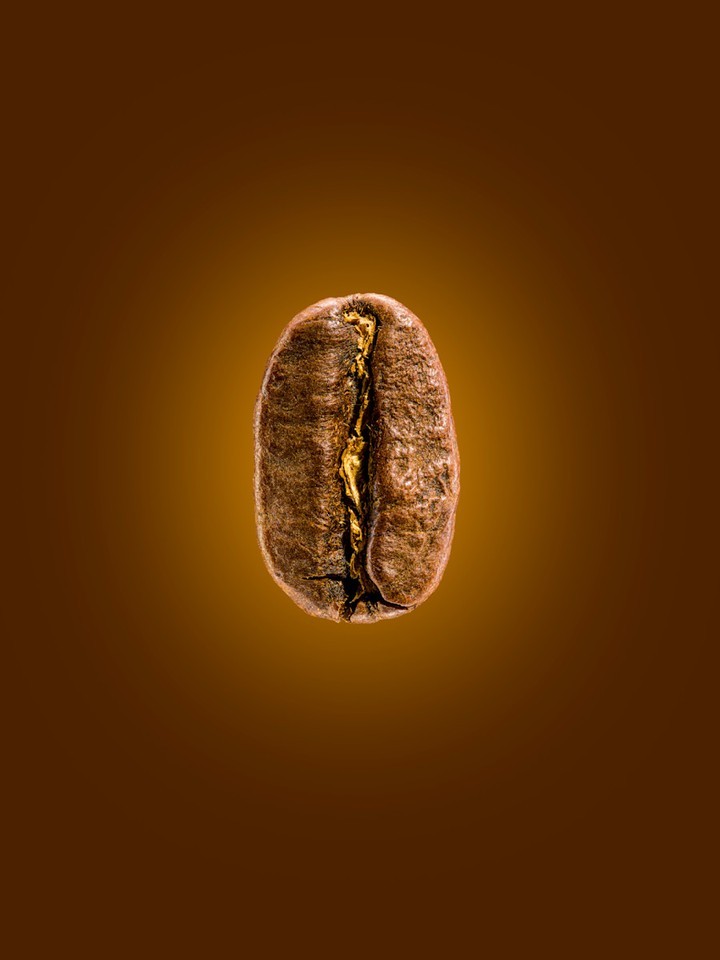 Close-up studio shot of a single brown coffee bean against a gradient brown background with a central light source creating soft shadows.