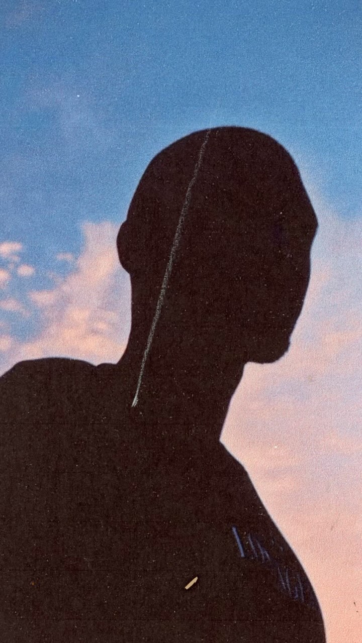 Silhouette of a person against a pastel sunset sky. The image has a high-contrast, artistic feel, with blue and pink hues.
