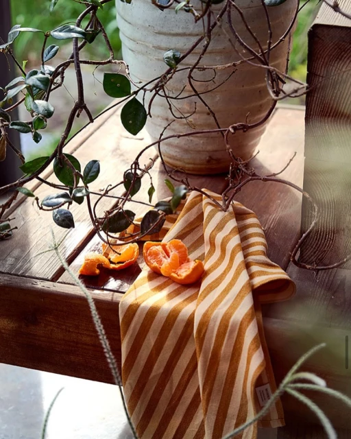 Still life of peeled tangerine, a striped tea towel, and a potted plant on a rustic wooden surface in soft, natural light.