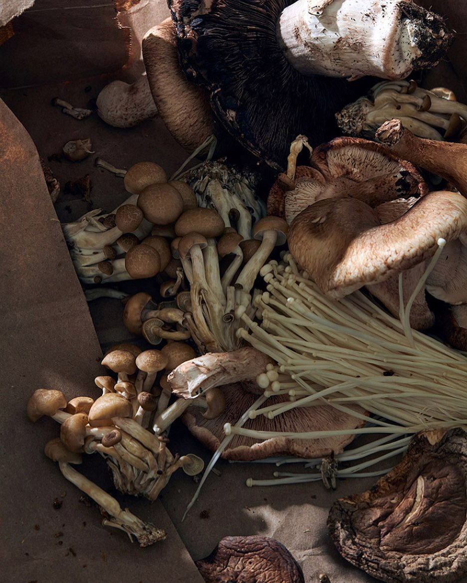 Variety of mushrooms including brown beech, shiitake, and enoki, displayed on brown paper under natural light, food photography.