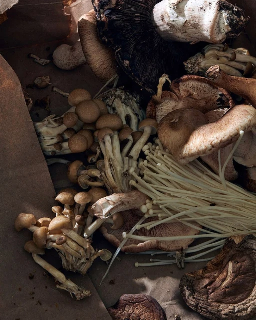 Variety of mushrooms including brown beech, shiitake, and enoki, displayed on brown paper under natural light, food photography.