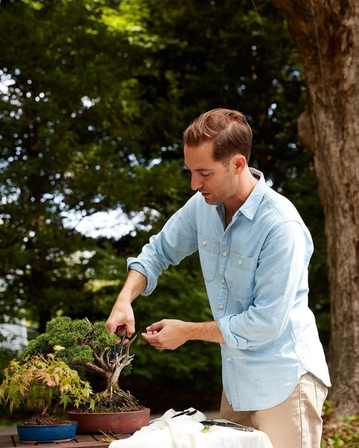 Adult male trimming bonsai trees on a wooden table outside with a lush green background, wearing a light blue shirt and tan pants.