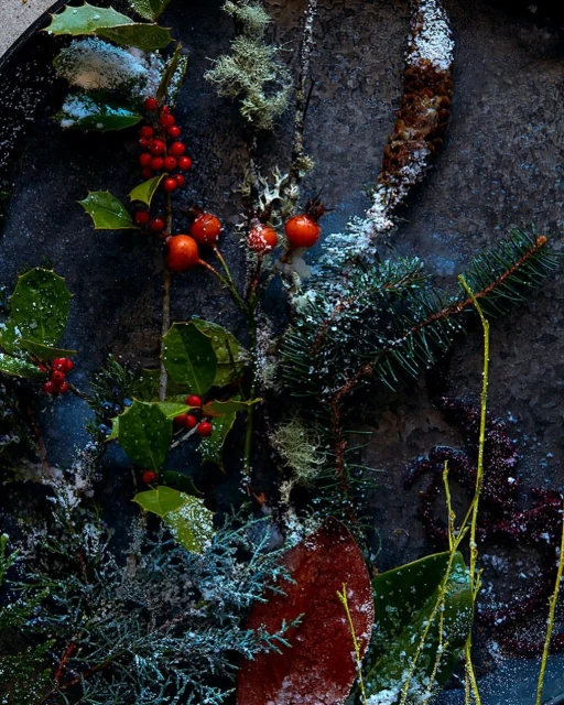 Still life photograph of holly, berries, evergreen boughs, and pinecone dusted with frost. Holiday season background in cool tones.