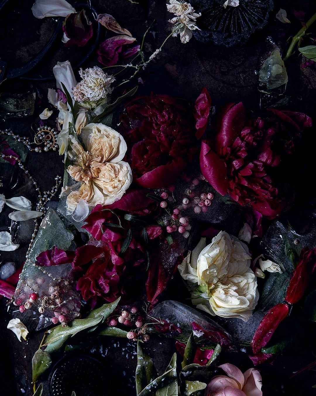 Dramatic still life with burgundy peonies, cream roses, pearls, ice, and leaves on a dark background, offering a moody floral arrangement.