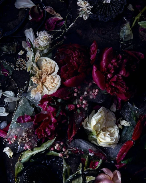 Dramatic still life with burgundy peonies, cream roses, pearls, ice, and leaves on a dark background, offering a moody floral arrangement.