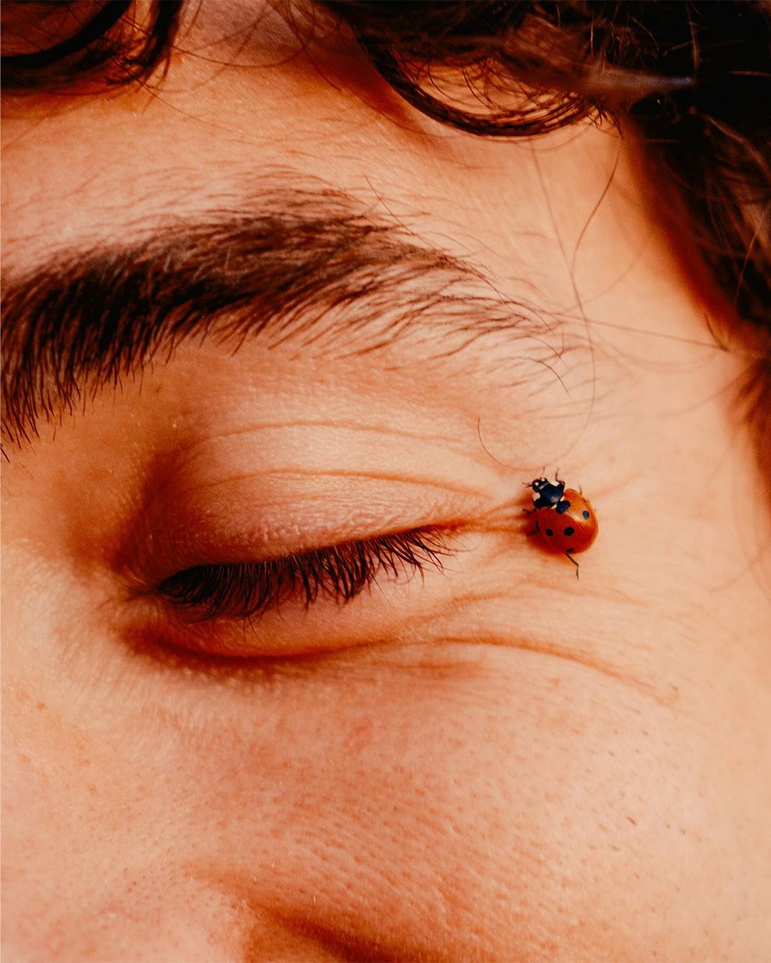 Close-up shot of a person's eye with a ladybug perched on their eyebrow, showing skin texture, eyelashes, and detail of the insect.