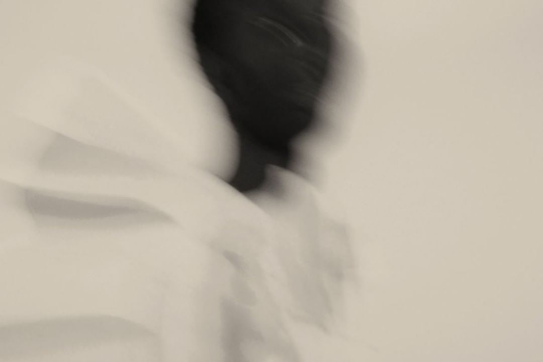 Abstract, blurred photo with monochromatic tones. The image features a dark shape against a lighter backdrop, creating a sense of movement.