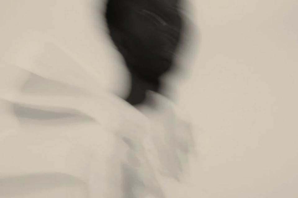 Abstract, blurred photo with monochromatic tones. The image features a dark shape against a lighter backdrop, creating a sense of movement.