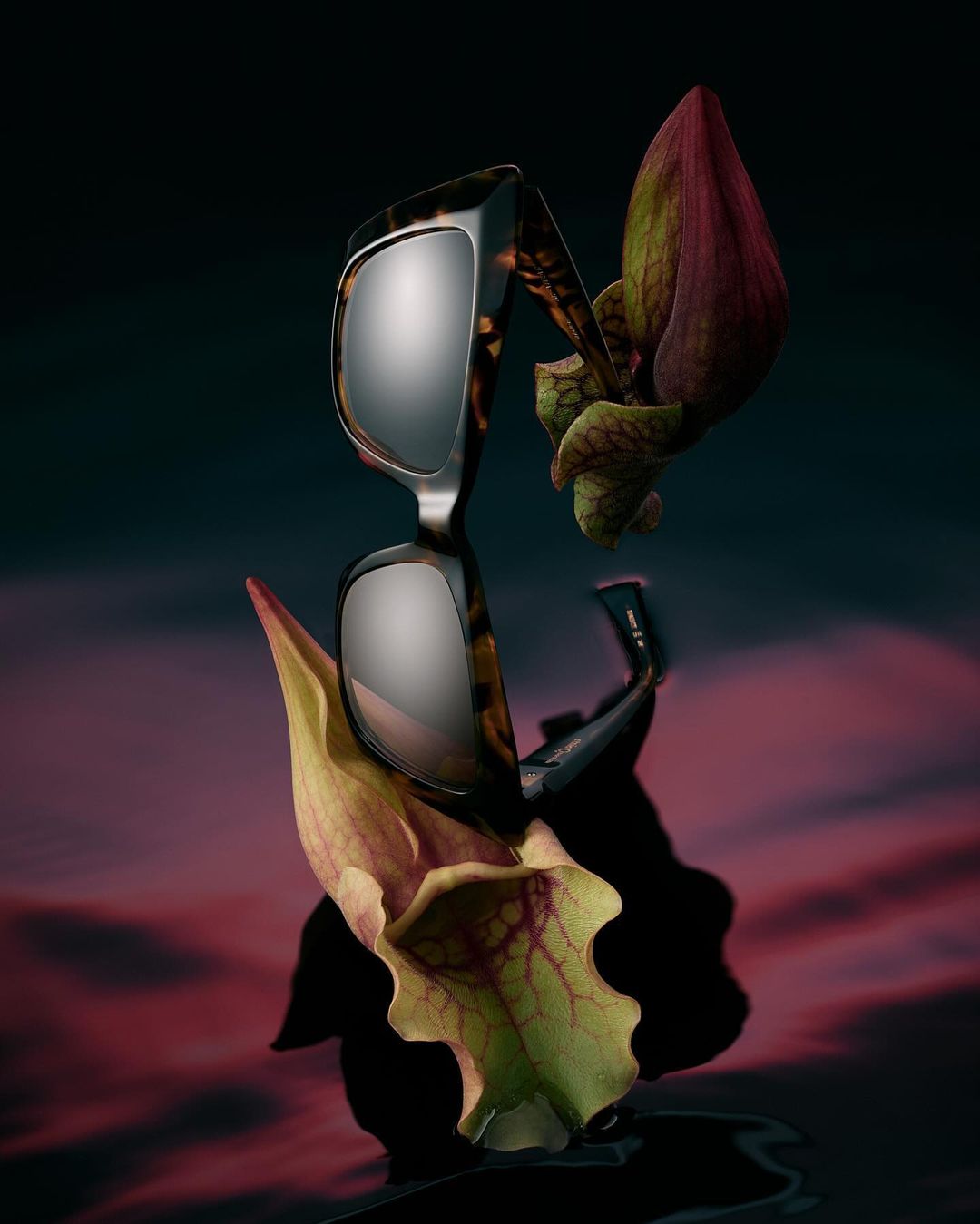 Tortoiseshell sunglasses rest among green and burgundy pitcher plants on a reflective surface in a studio product shot.