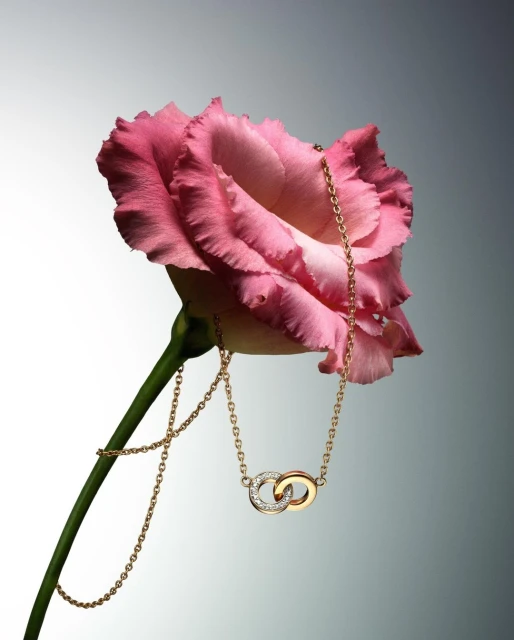 Elegant gold necklace with interlocking circles showcased alongside a pink lisianthus flower in a minimalist, soft-lit studio setting.