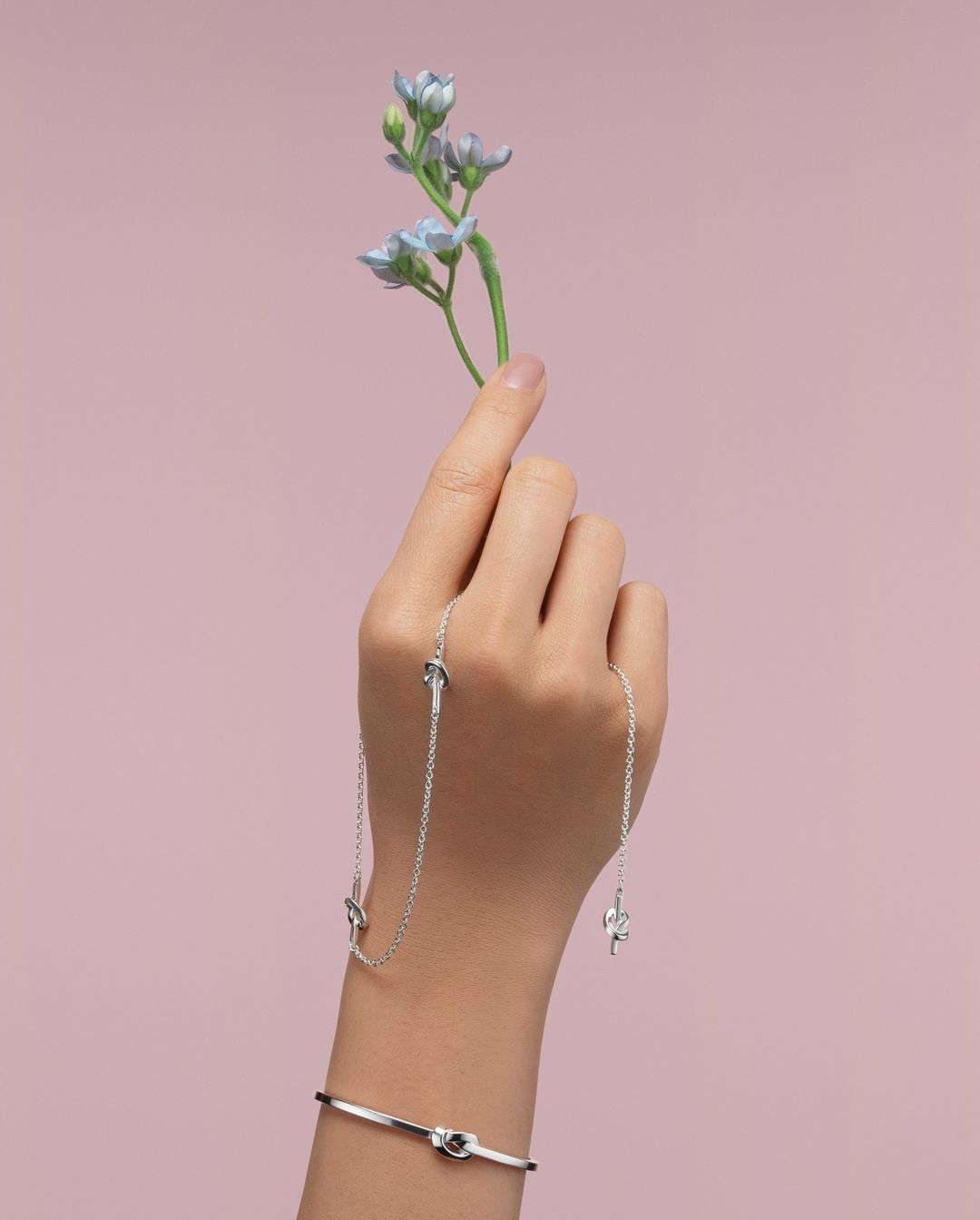 Close-up of a hand holding a sprig of light blue flowers, adorned with a silver necklace and matching bangle bracelet against pink backdrop.