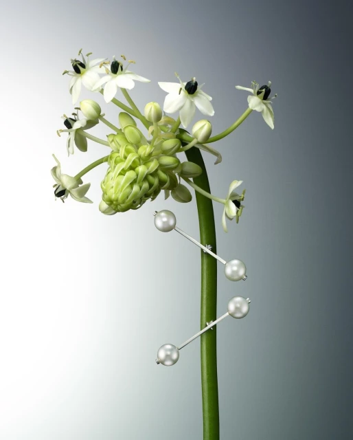 Close-up studio shot of a flower stem with white blossoms and spherical pearl earrings attached, set against a grey gradient background.