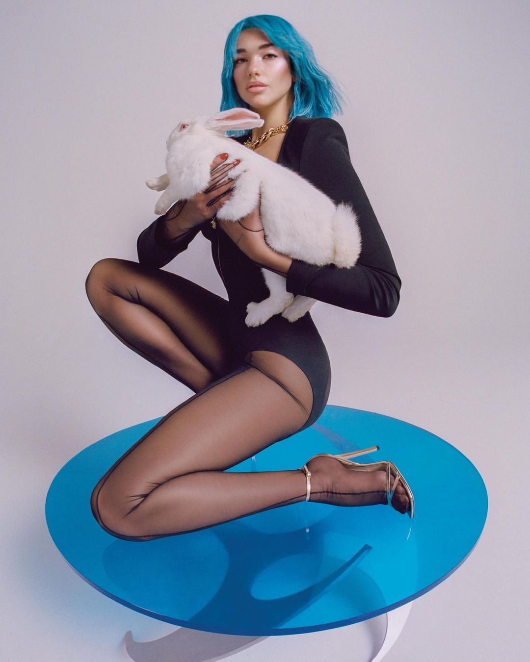 Woman with teal hair poses indoors, holding a fluffy white rabbit, wearing a black bodysuit and sheer tights, seated on a blue acrylic table.