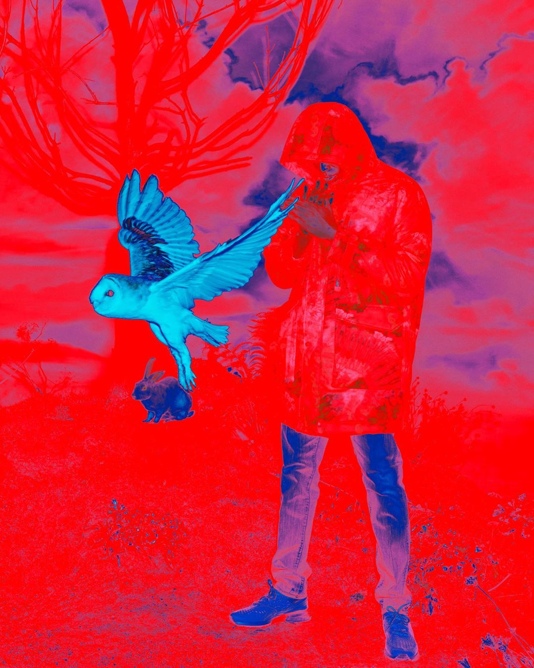 Person in hooded raincoat releasing an owl near a rabbit, set against a surreal red and blue outdoor landscape.