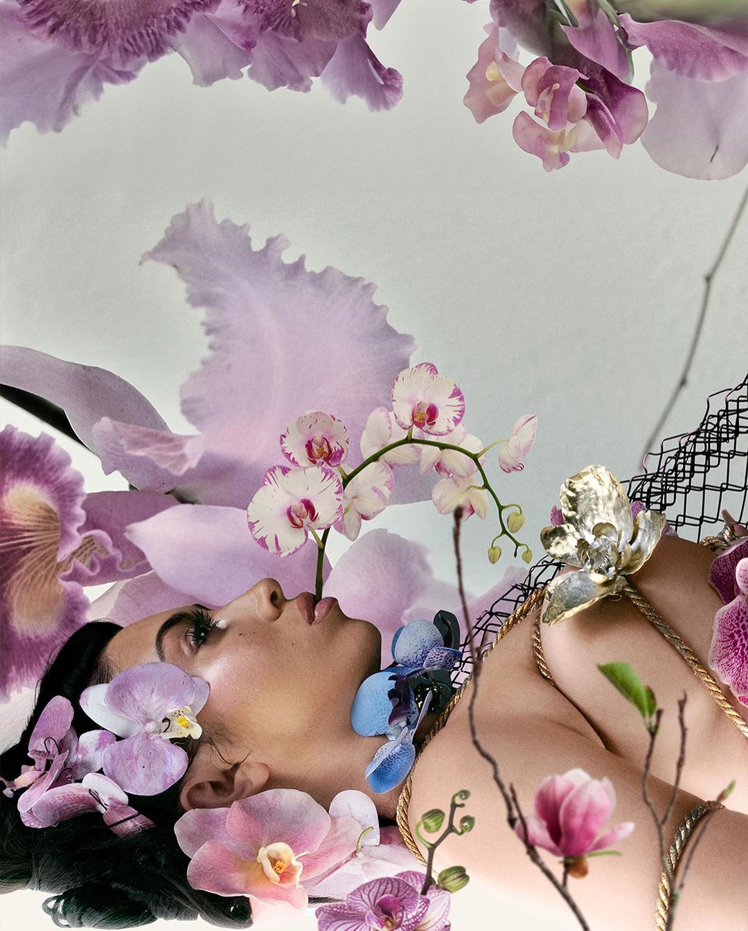 Woman lies among pastel purple, pink, and white orchids. She has dark hair and fair skin and wears a gold necklace and black net headpiece.