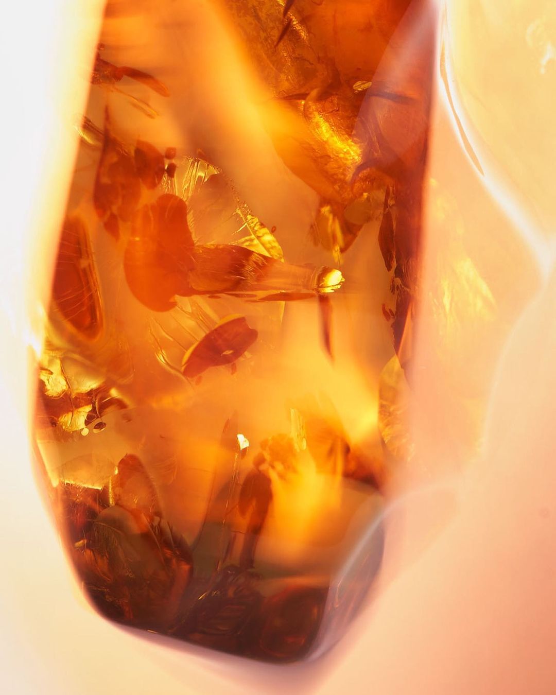 Close-up of an amber piece with encapsulated plant matter and insects, showcasing its golden translucence and intricate details.