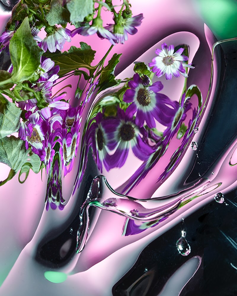 Close-up abstract photograph of purple and white flowers distorted through a glossy, liquid-like reflective surface in pink and green tones.