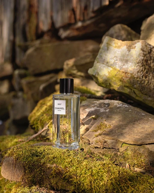 Still life shot of a Chanel 1957 perfume bottle on mossy rocks in natural light, capturing a blend of beauty and nature.