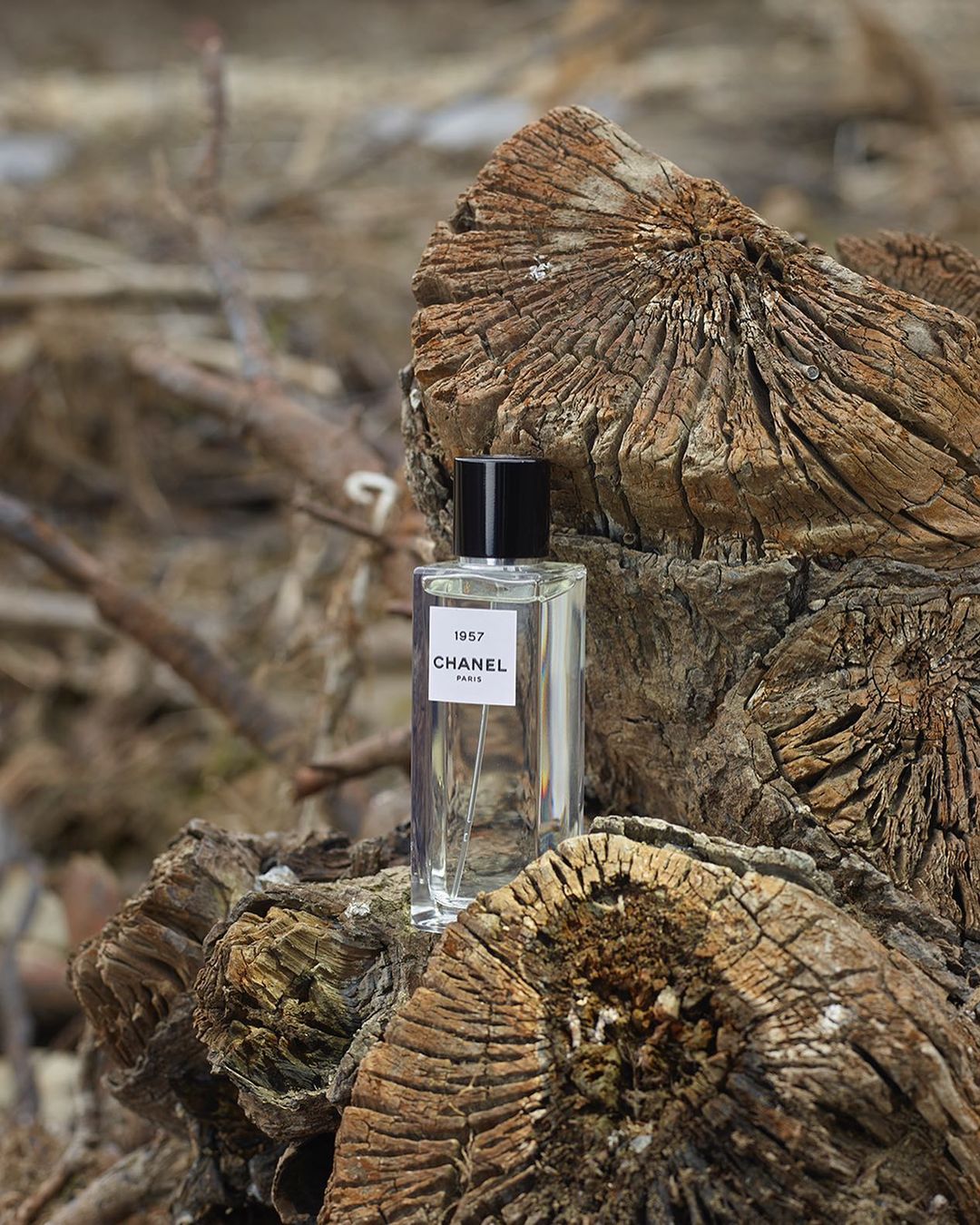 Chanel 1957 perfume bottle displayed on a textured tree trunk, set against a blurred background of brown branches in natural light.
