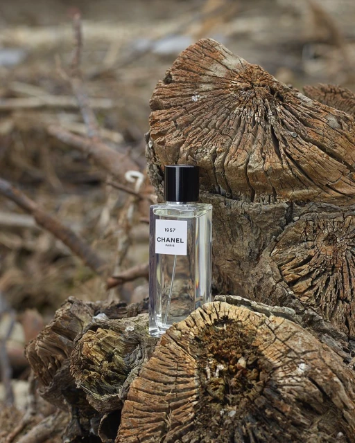 Chanel 1957 perfume bottle displayed on a textured tree trunk, set against a blurred background of brown branches in natural light.