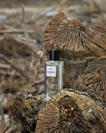Chanel 1957 perfume bottle displayed on a textured tree trunk, set against a blurred background of brown branches in natural light.