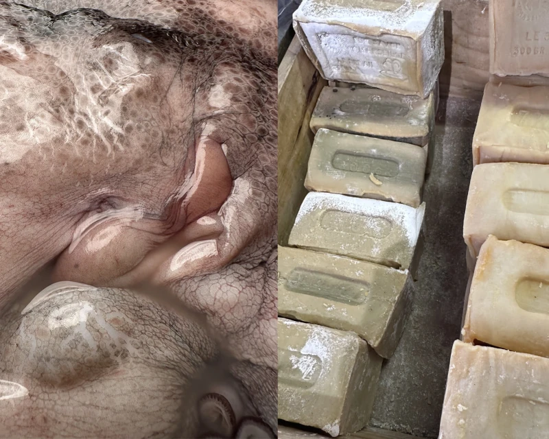 Close-up shot split between an octopus and stacked rectangular bars of soap. Octopus skin is textured, soap is labeled.