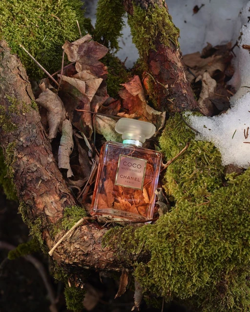 Chanel perfume bottle on a mossy branch, surrounded by leaves and snow. Elegant fragrance in a natural, wintry setting.