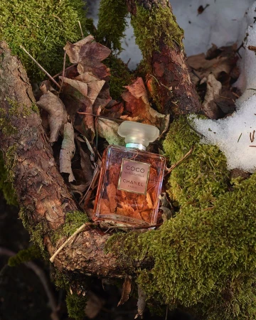 Chanel perfume bottle on a mossy branch, surrounded by leaves and snow. Elegant fragrance in a natural, wintry setting.