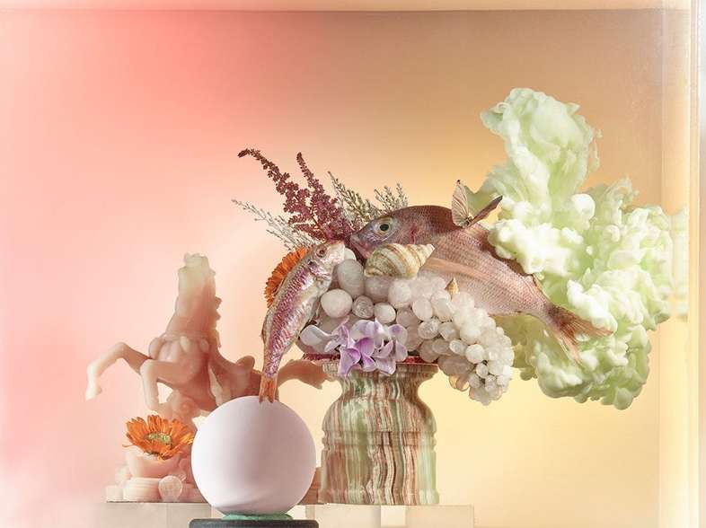 Still life featuring two fish, a seashell, white sphere, flowers, and a horse figurine in a pastel-colored setting, creating a surreal, artistic scene.