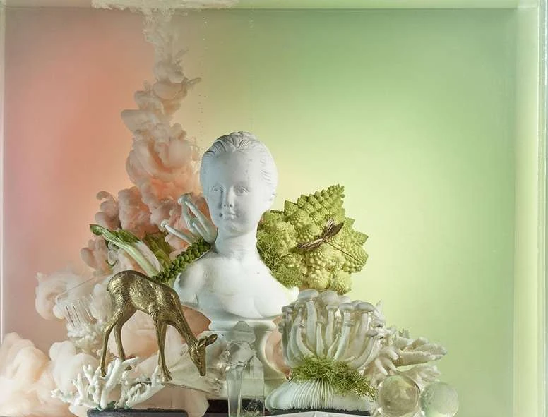 Still life photograph features a bust, a golden deer figurine, various plants, and decorative white coral against a gradient background.
