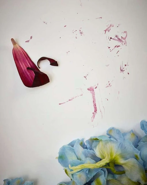 Studio shot of vibrant red and blue flower petals scattered on a clean white backdrop, creating a minimalist floral arrangement.