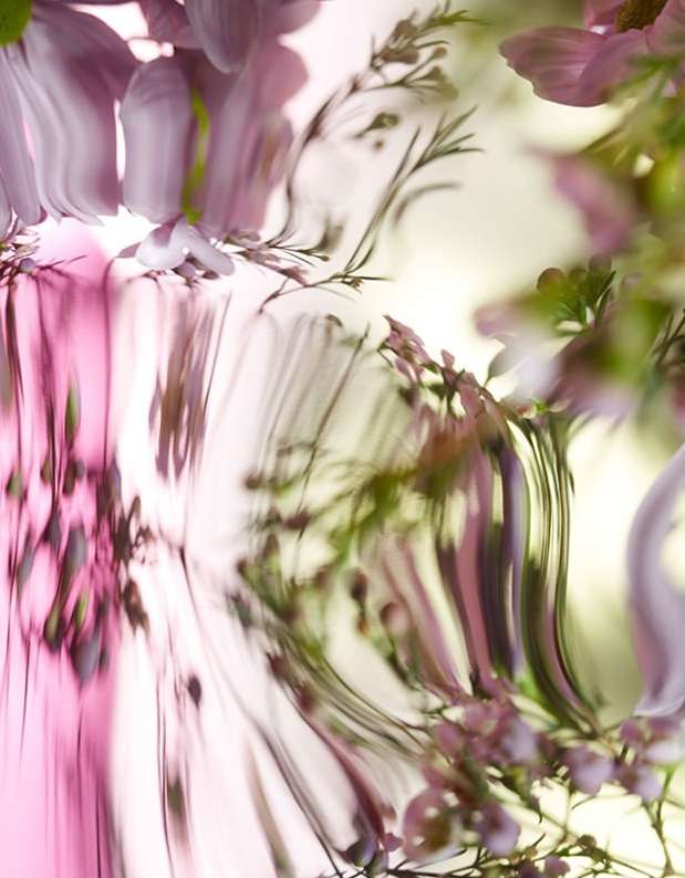 Abstract floral photograph featuring blossoms in pale pink and lavender hues with flowing, distorted reflections.
