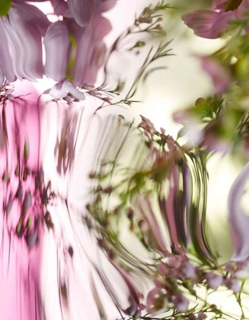 Abstract floral photograph featuring blossoms in pale pink and lavender hues with flowing, distorted reflections.