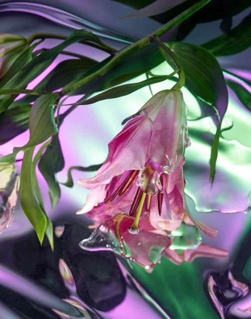 Close-up still life of a pink lily with green leaves against a silver and light purple reflective background, showcasing floral beauty.